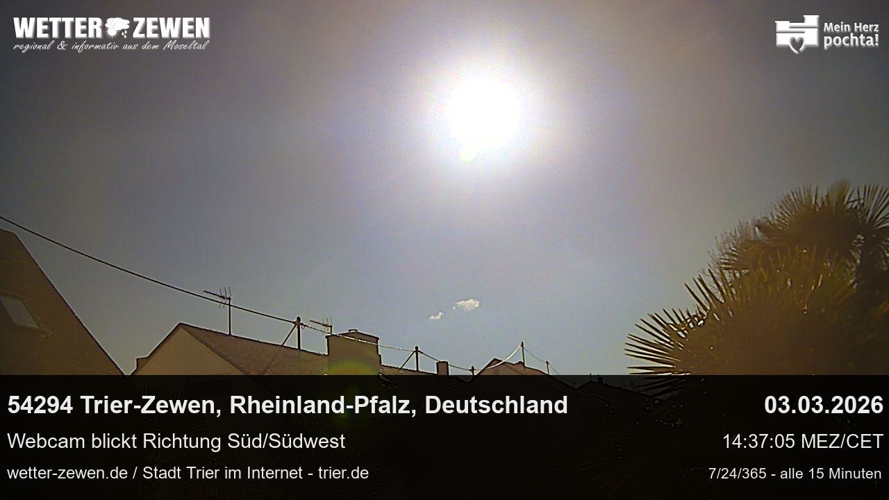 Bild