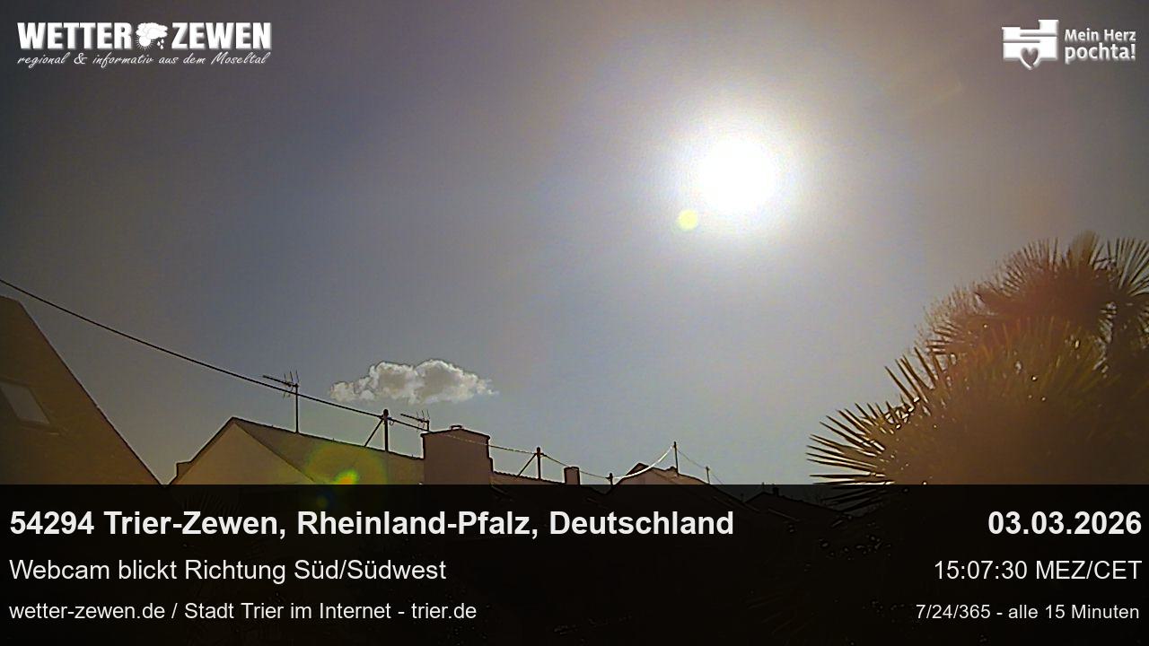 Bild