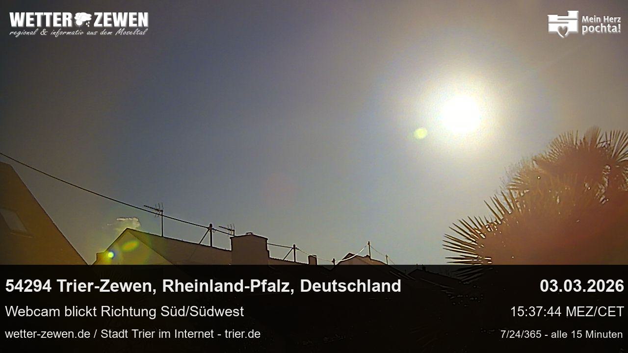Bild