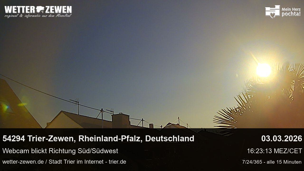 Bild