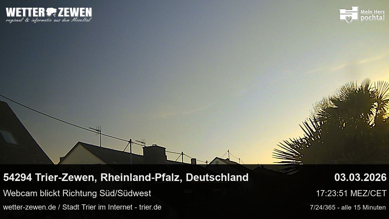 Bild