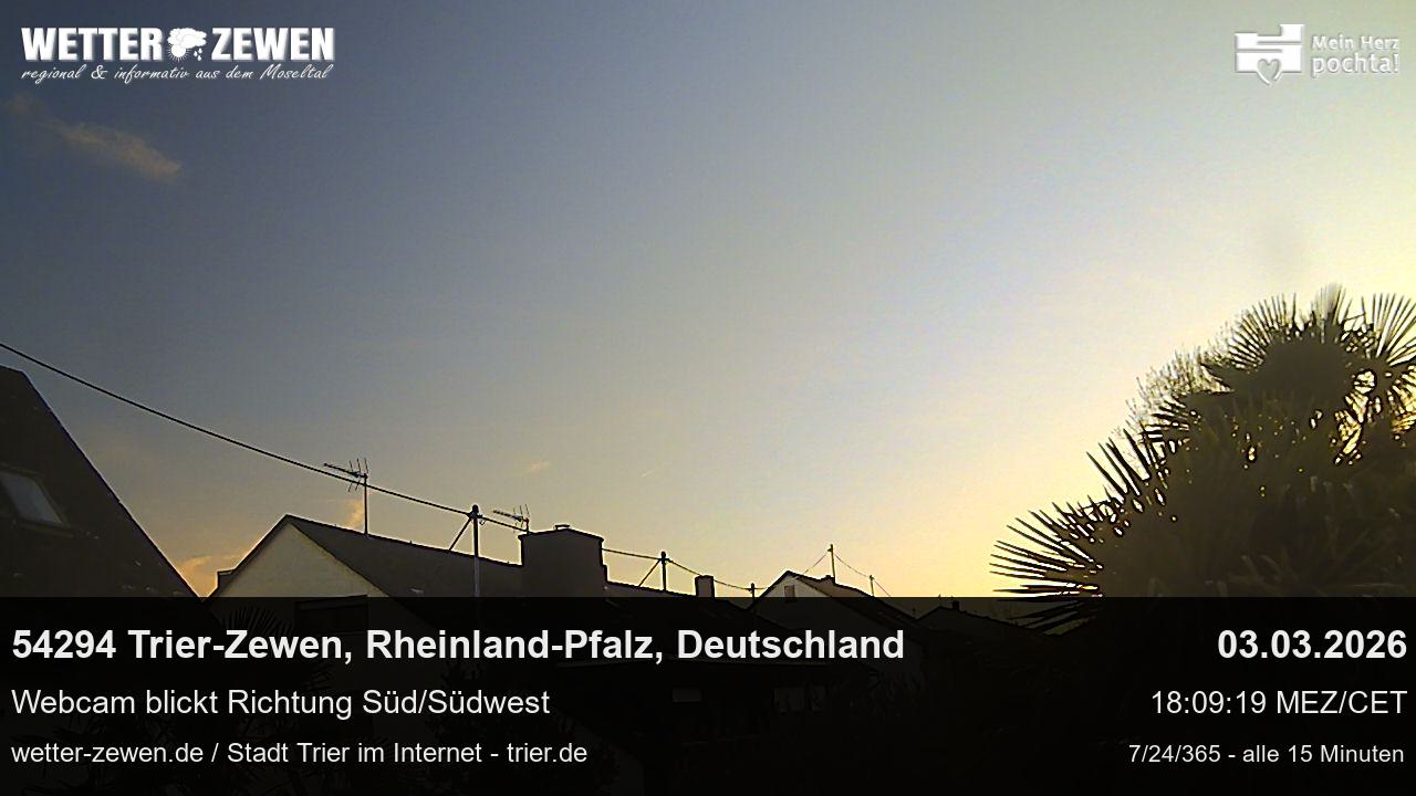 Bild