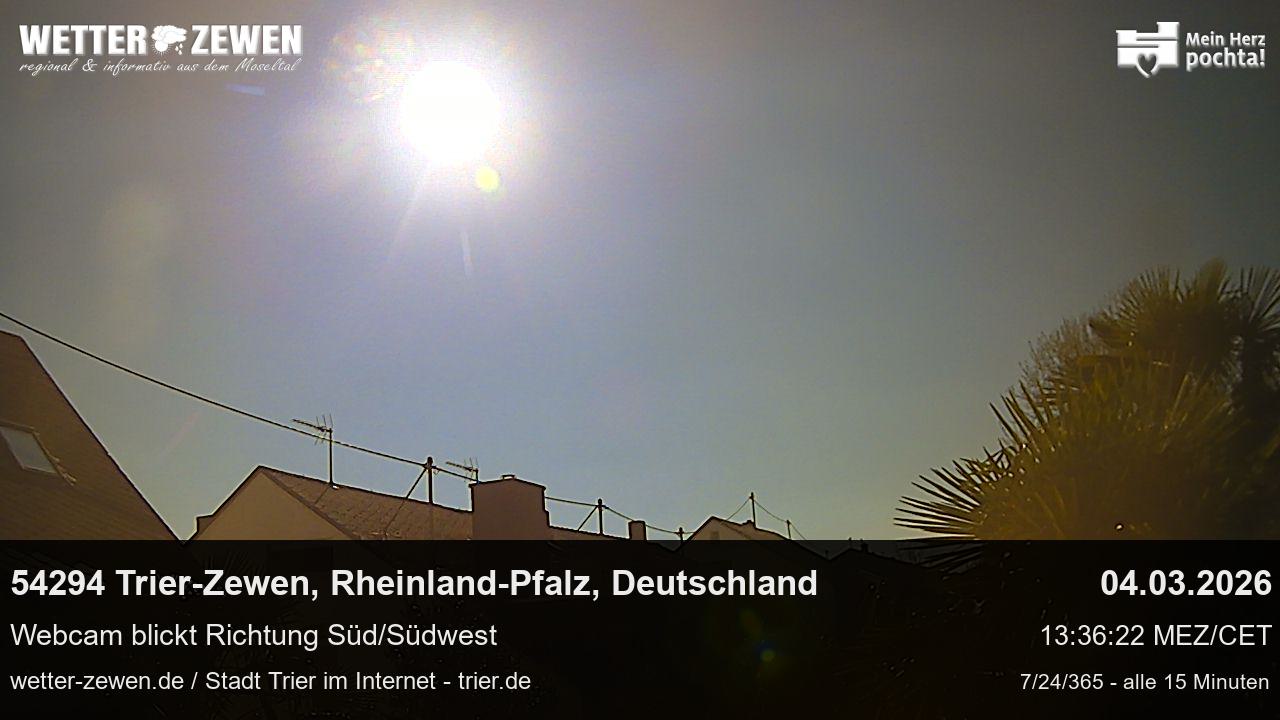 Bild