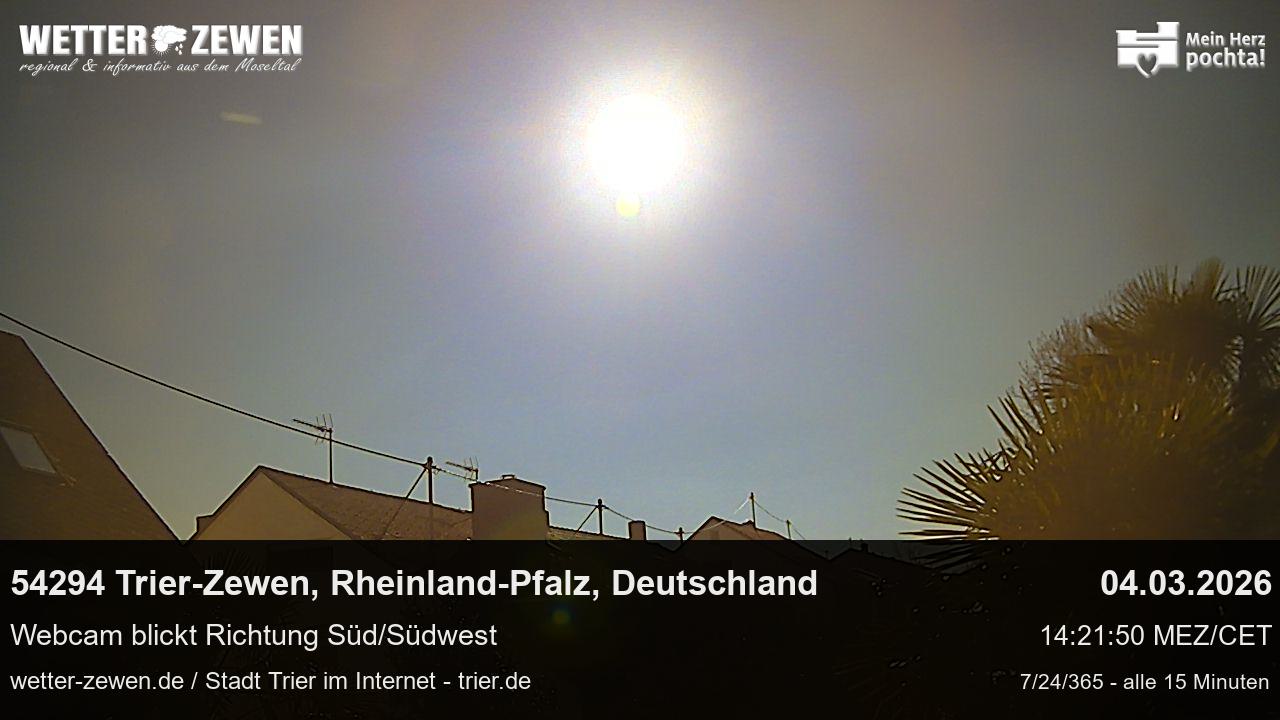 Bild