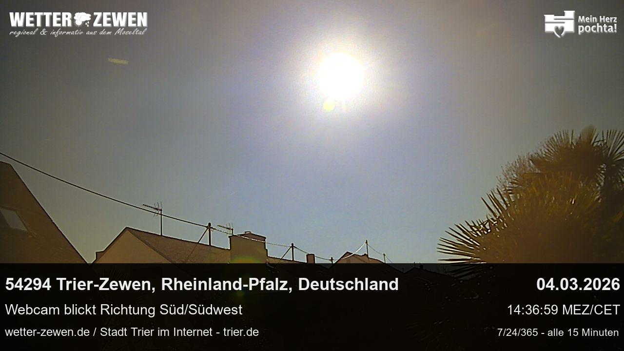 Bild