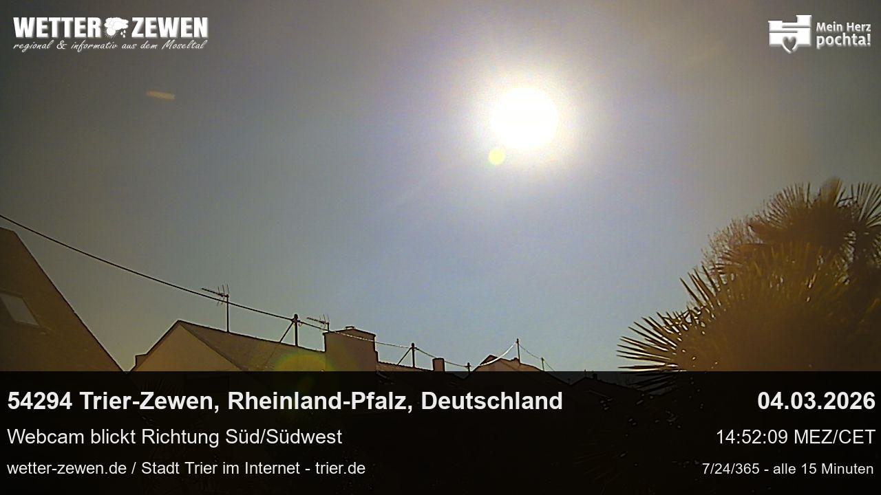 Bild
