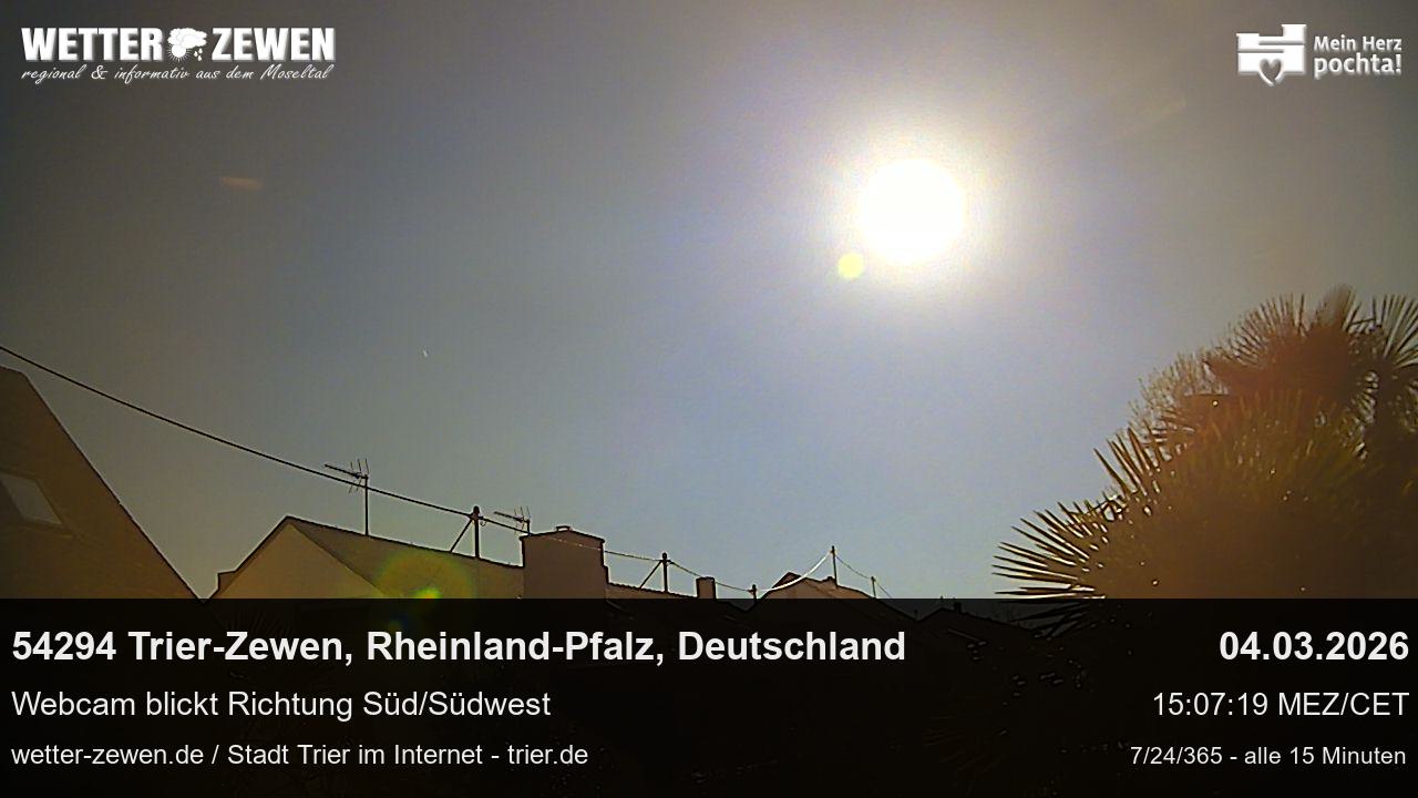 Bild