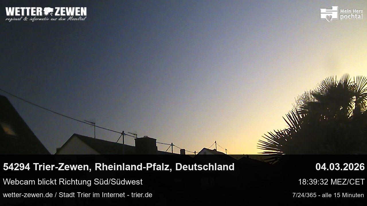 Bild