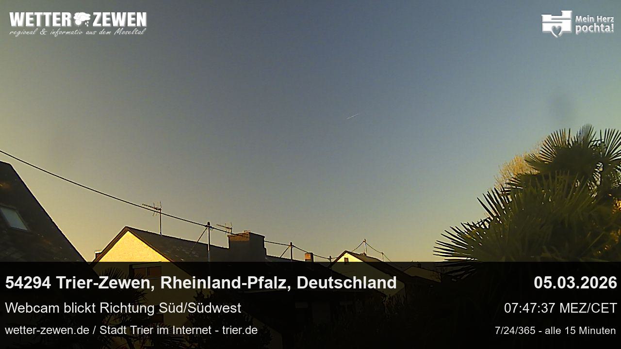 Bild