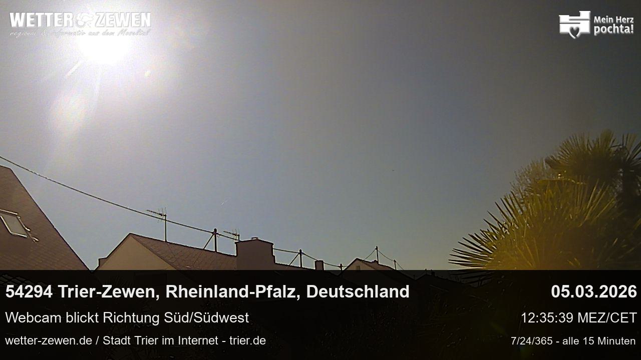 Bild