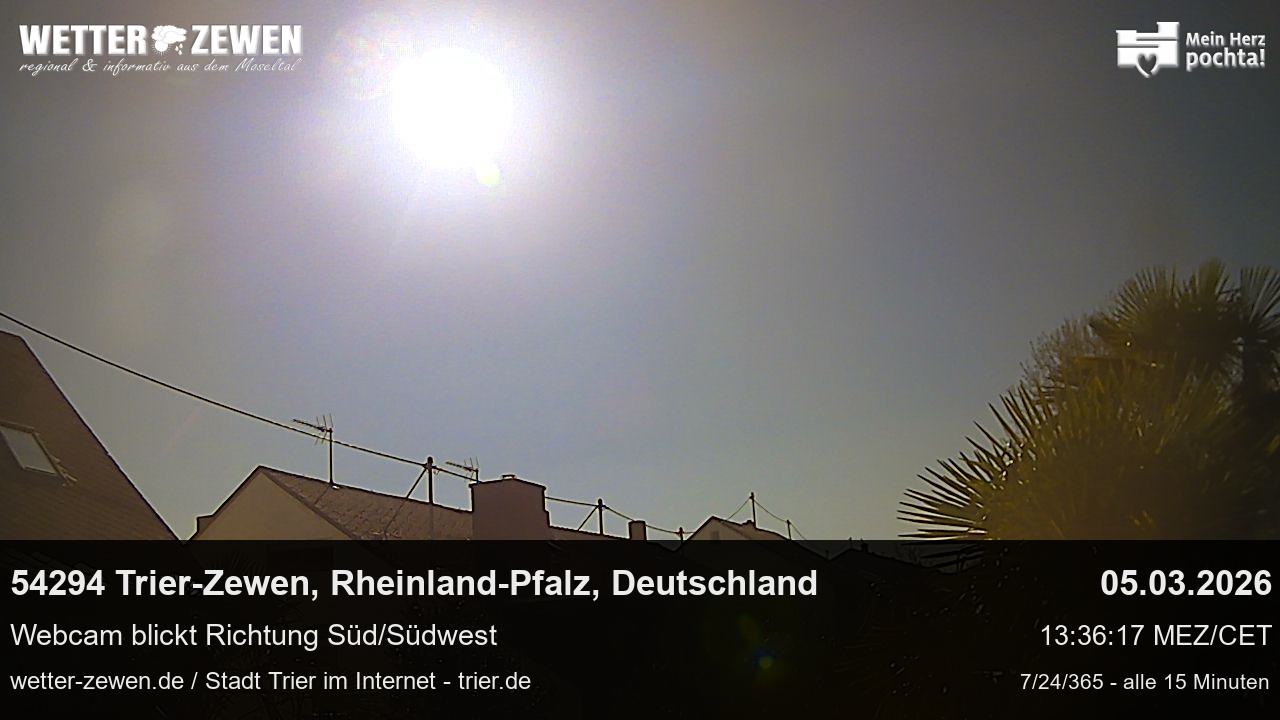 Bild