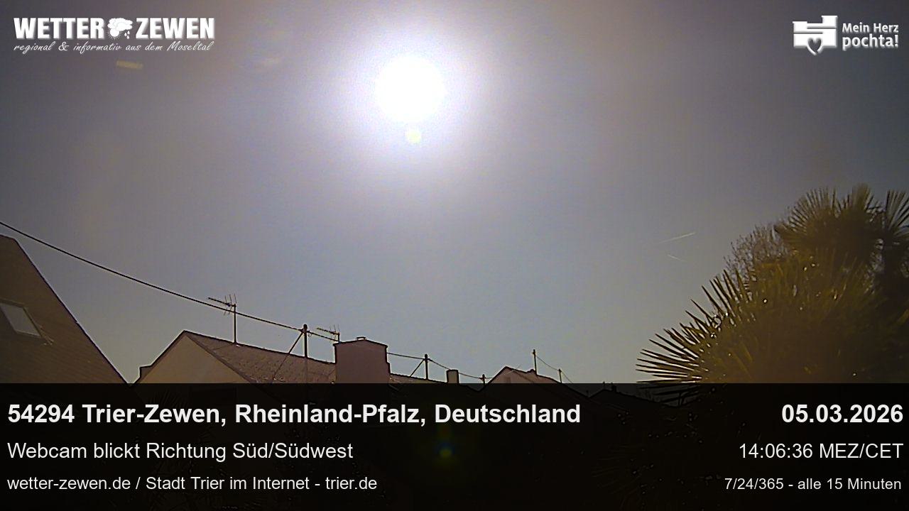 Bild