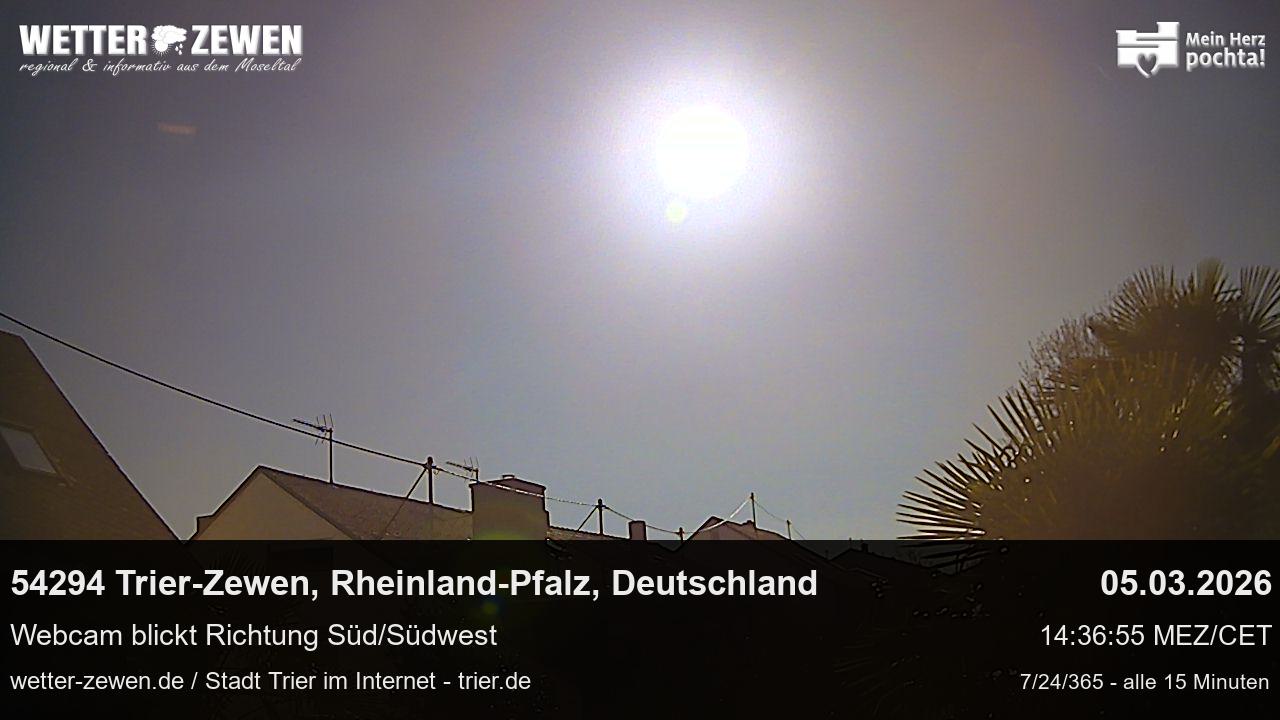 Bild