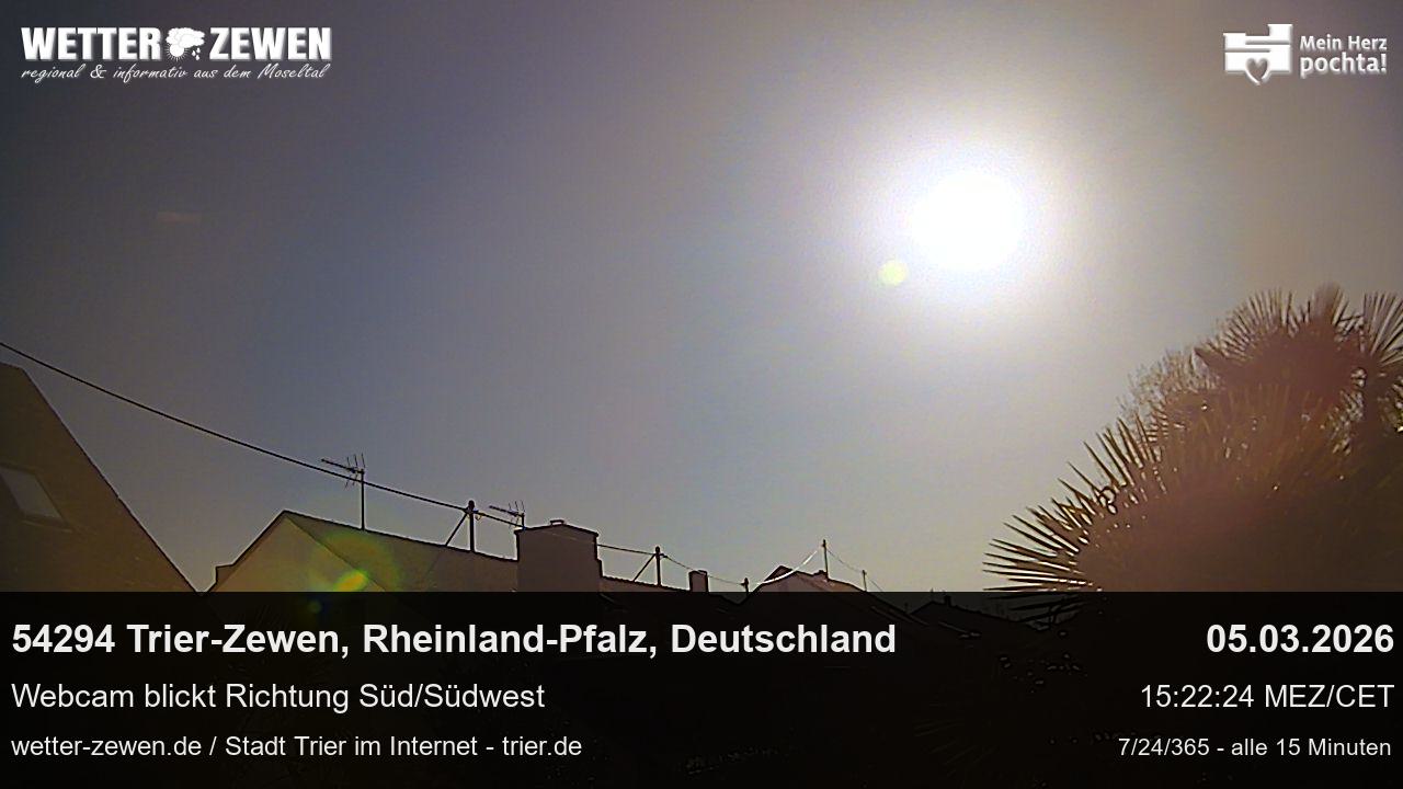 Bild