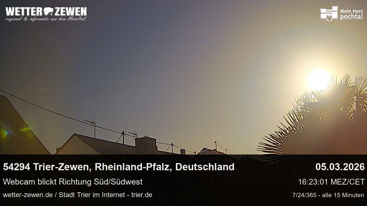 Bild