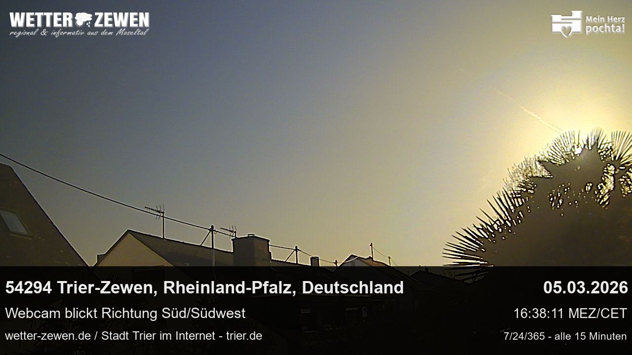 Bild