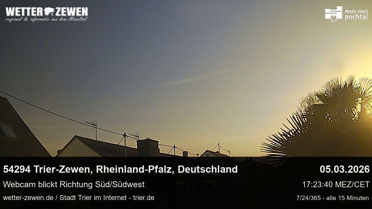 Bild
