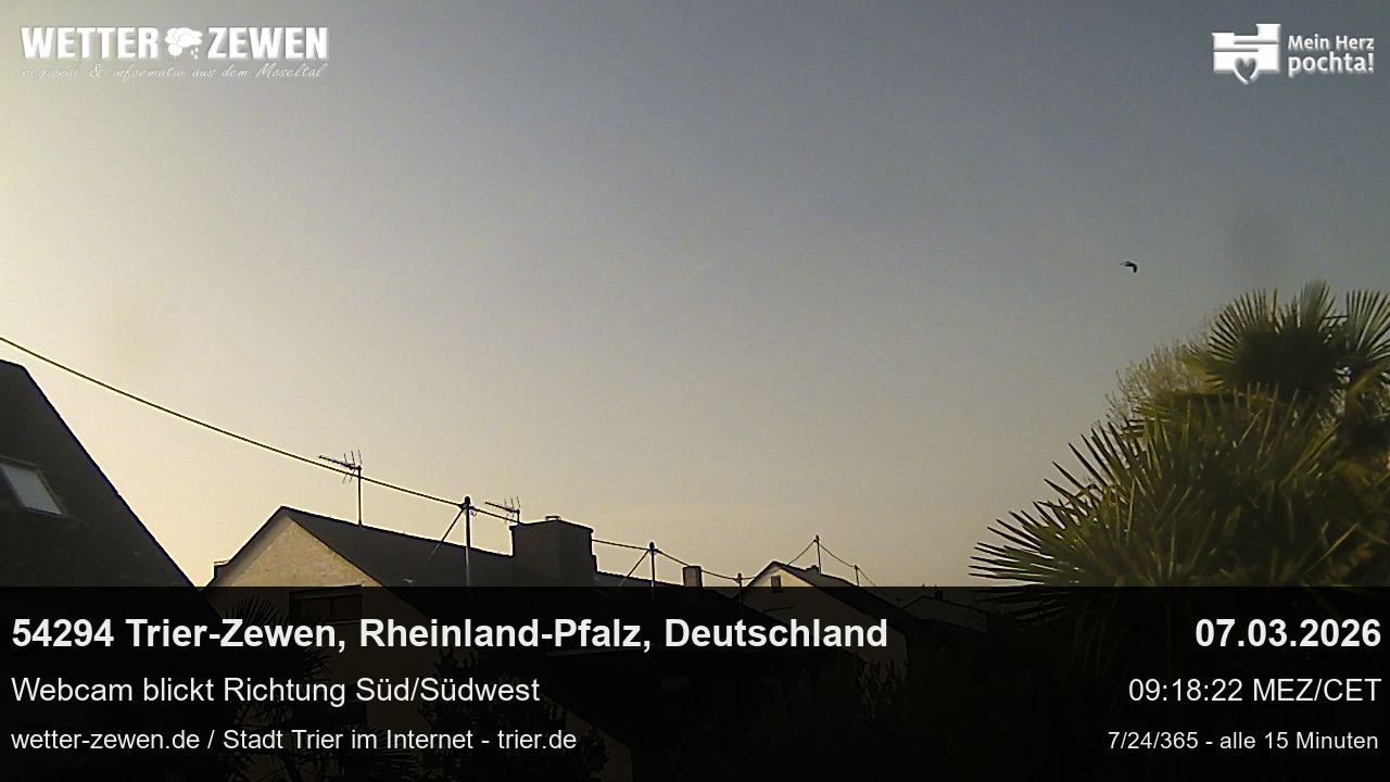 Bild