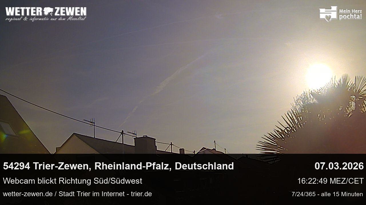 Bild