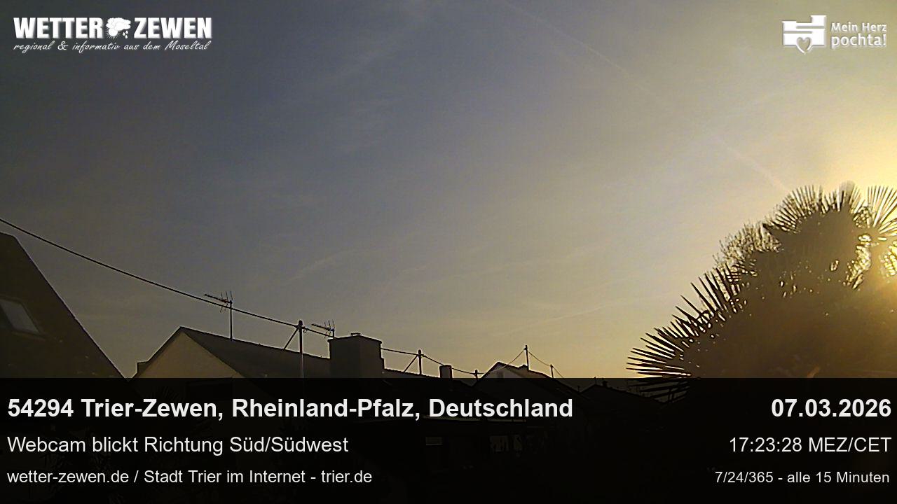 Bild
