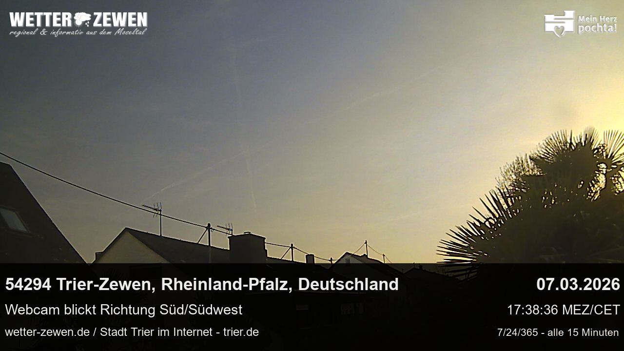 Bild