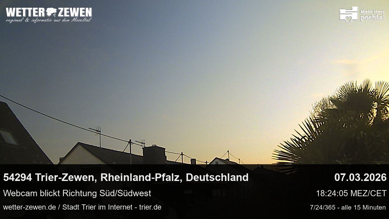 Bild