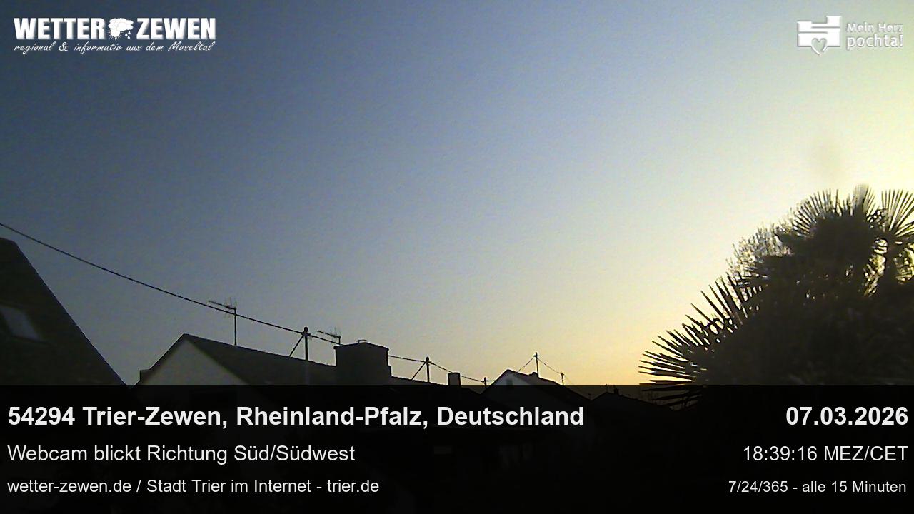 Bild