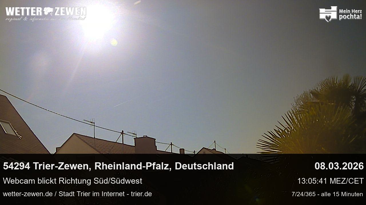 Bild