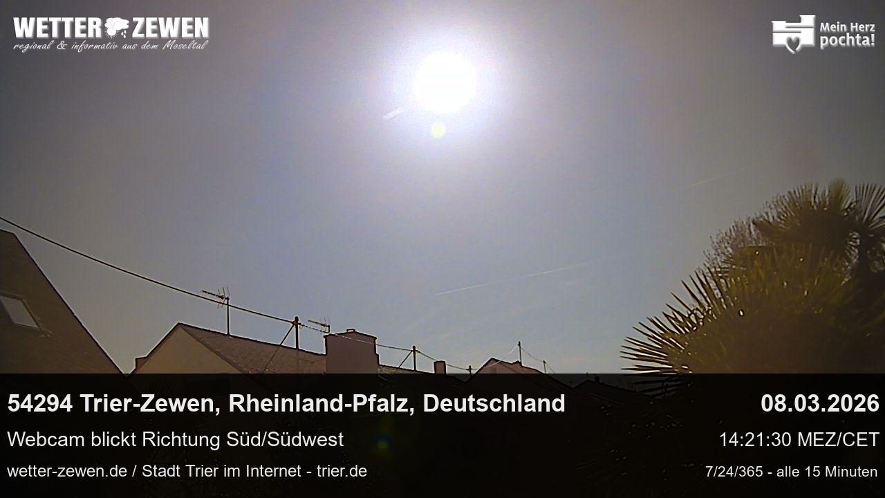Bild