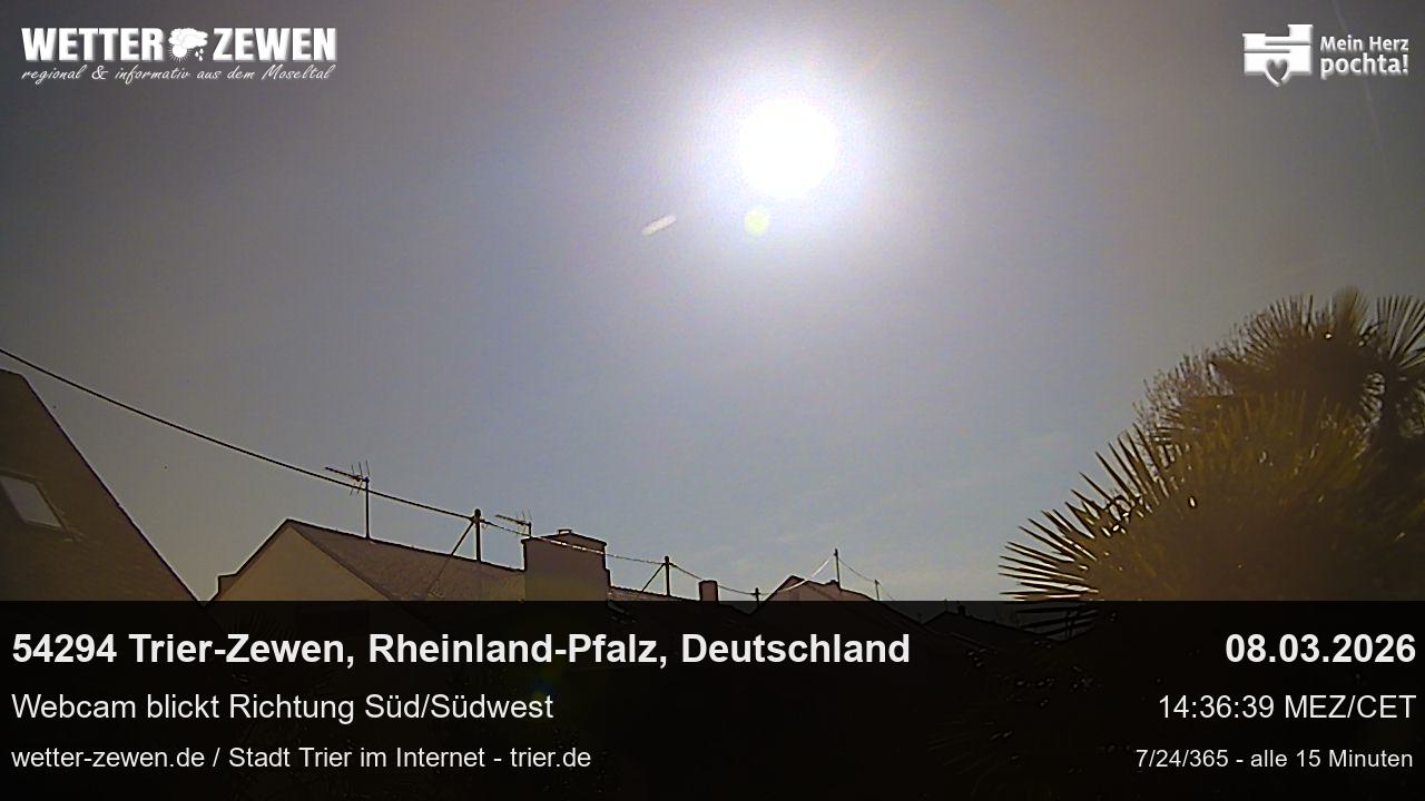 Bild