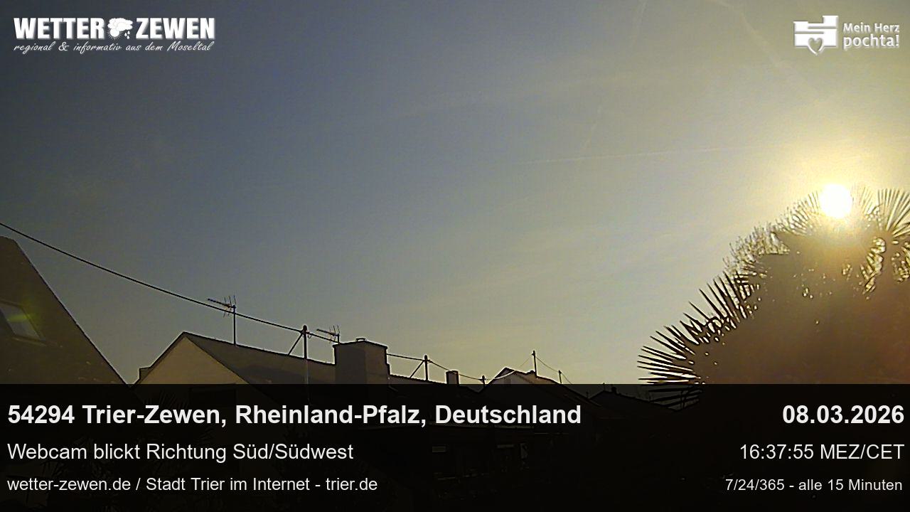 Bild