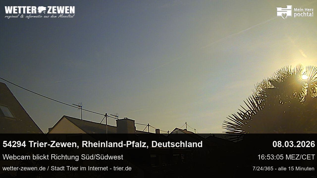 Bild