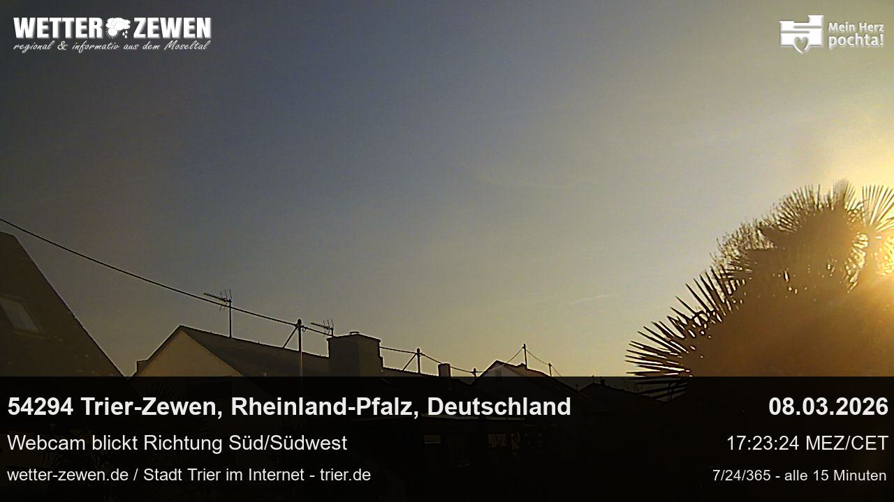Bild
