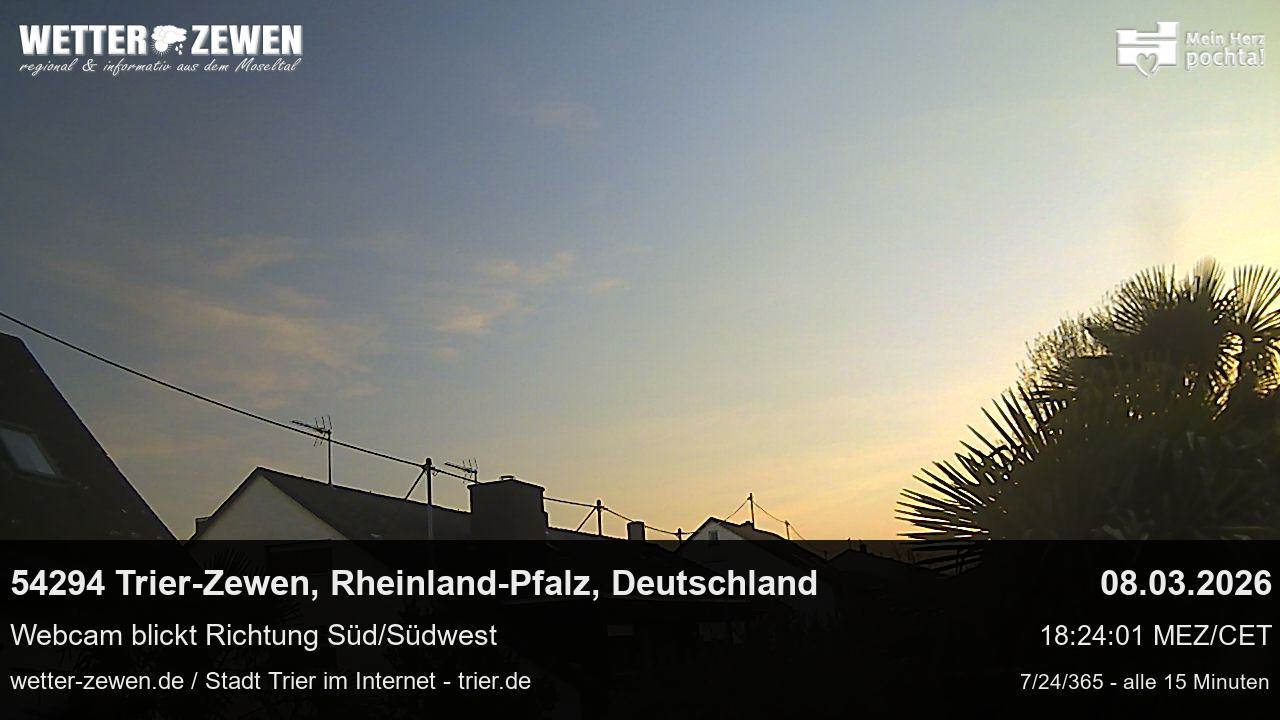 Bild