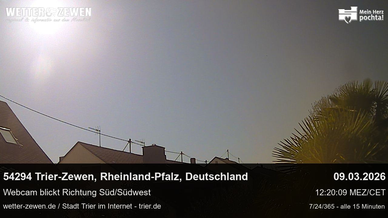 Bild