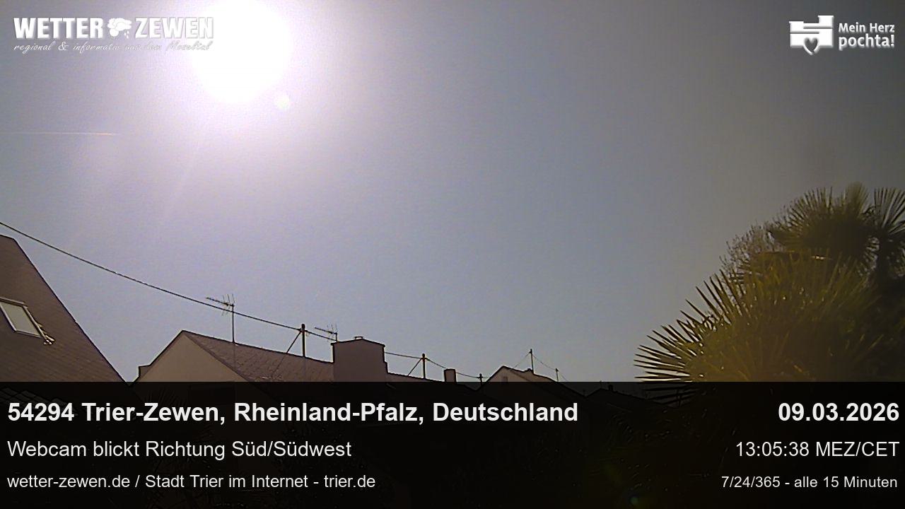 Bild
