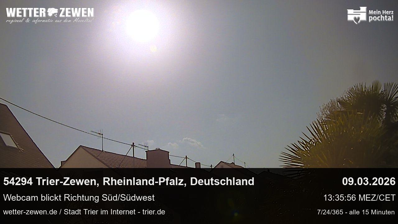 Bild