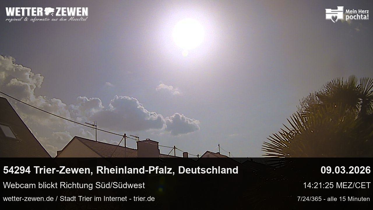 Bild