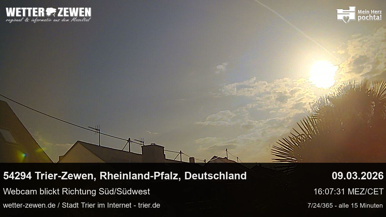Bild