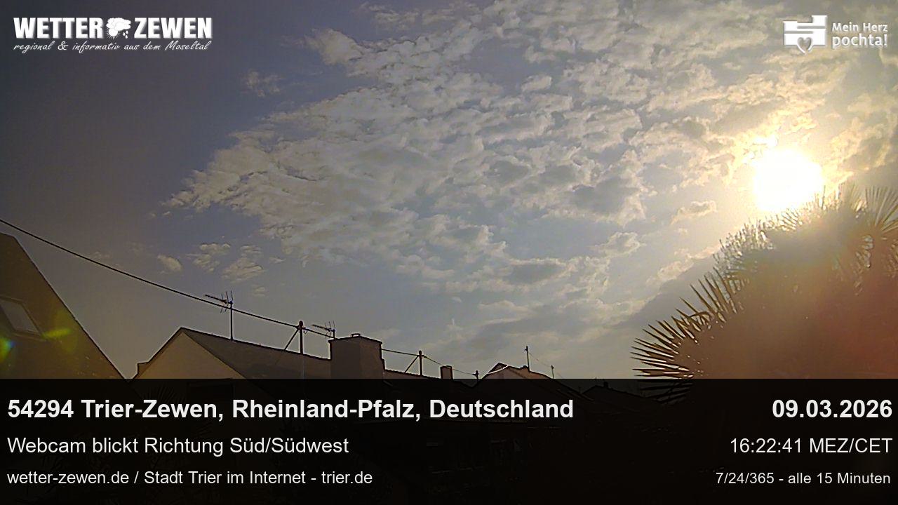 Bild