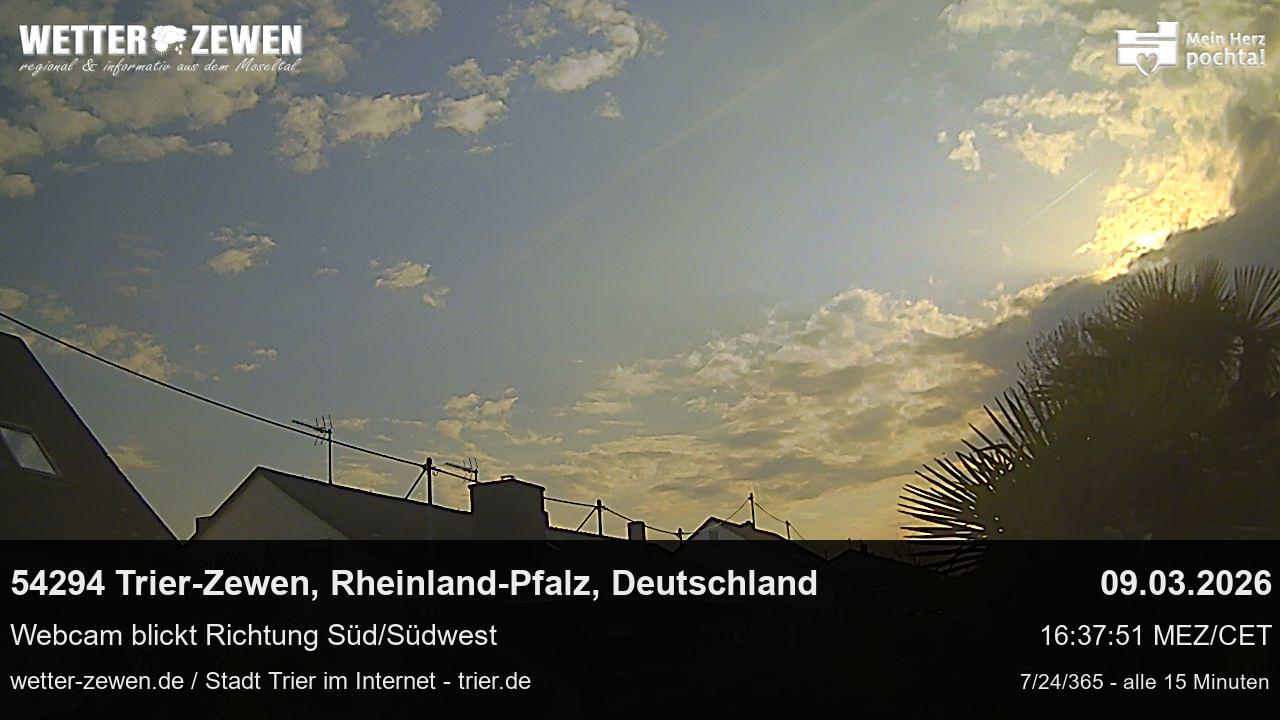 Bild