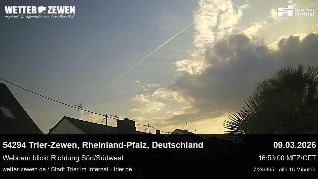 Bild