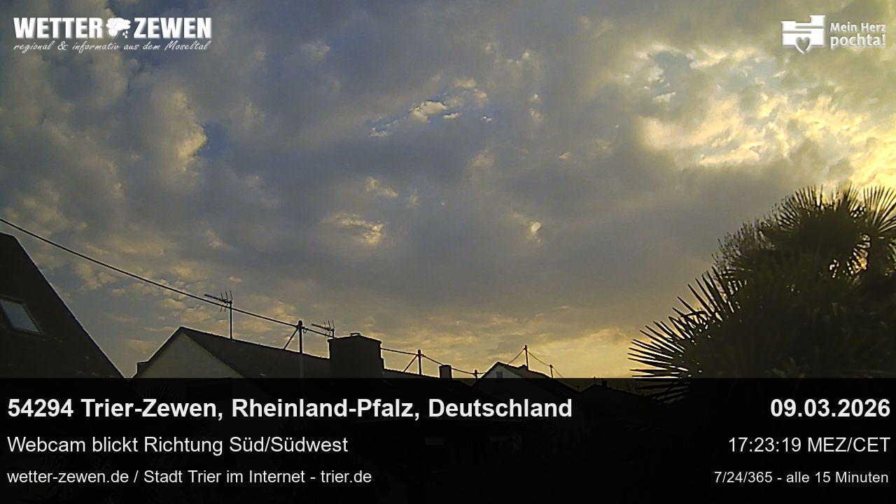 Bild