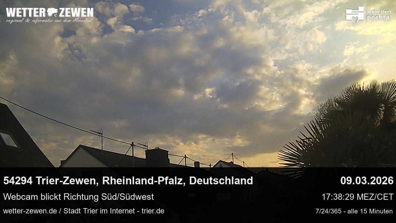 Bild