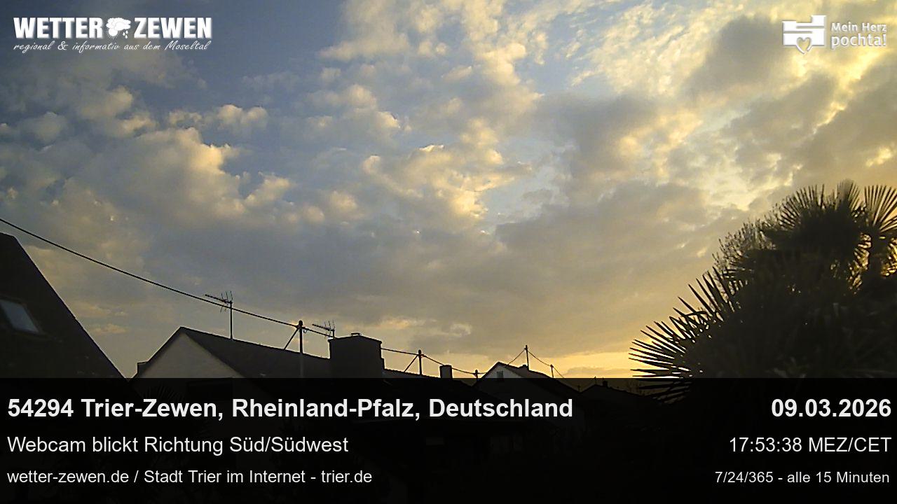 Bild