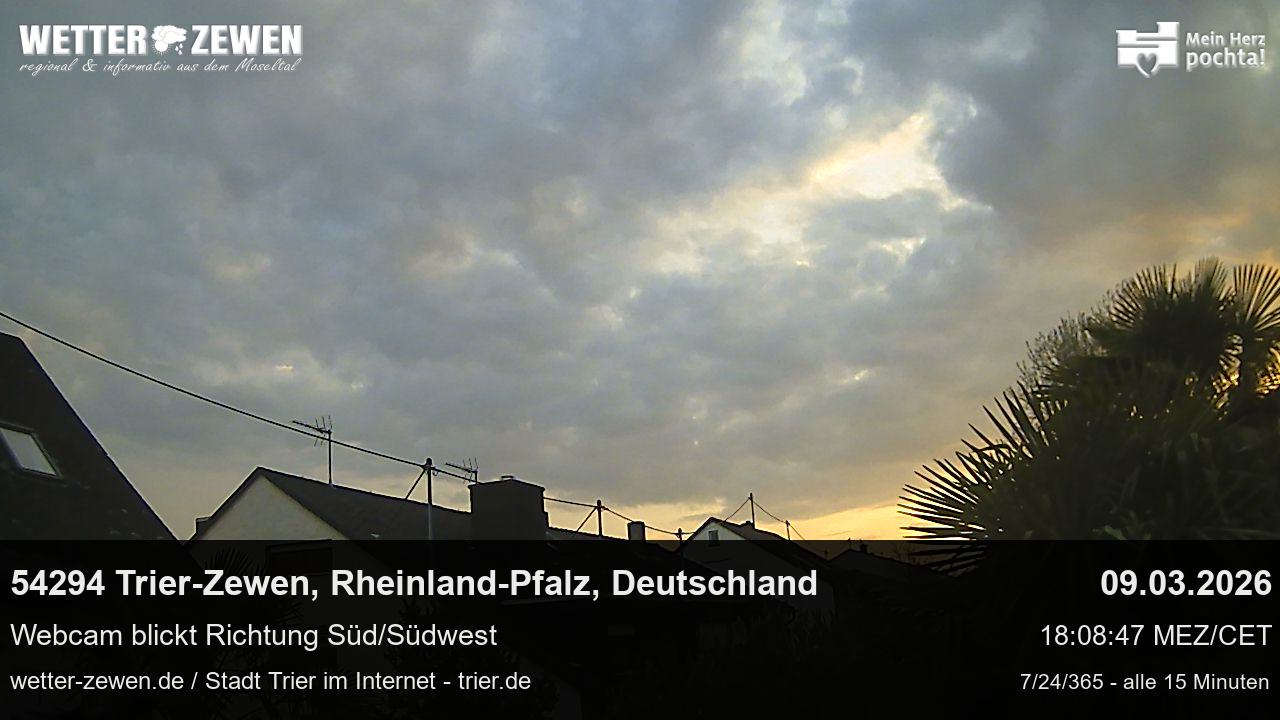Bild