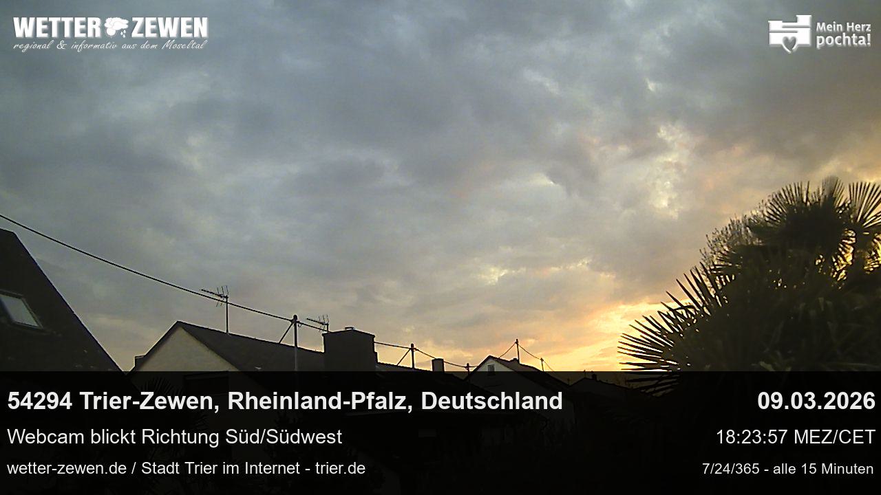 Bild