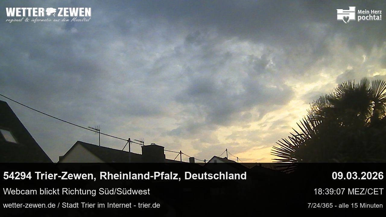 Bild