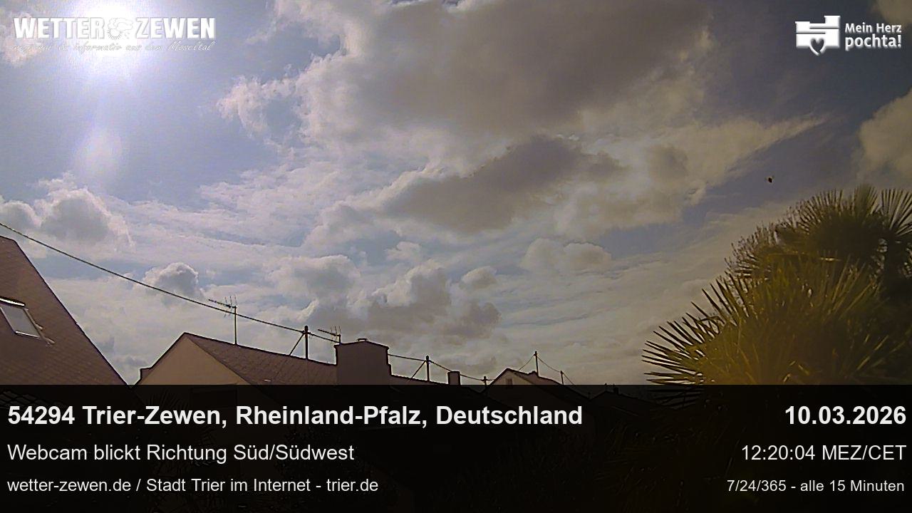 Bild