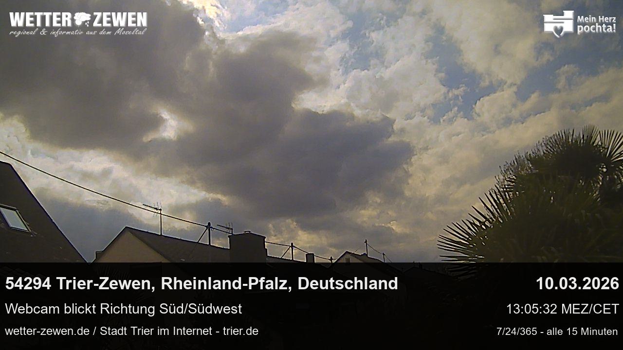 Bild